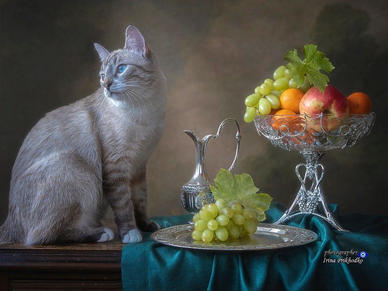 Виноградный воришка фото превью