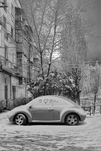 Я тебя люблю.