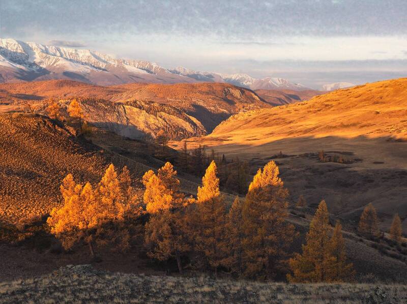 Утроphoto preview