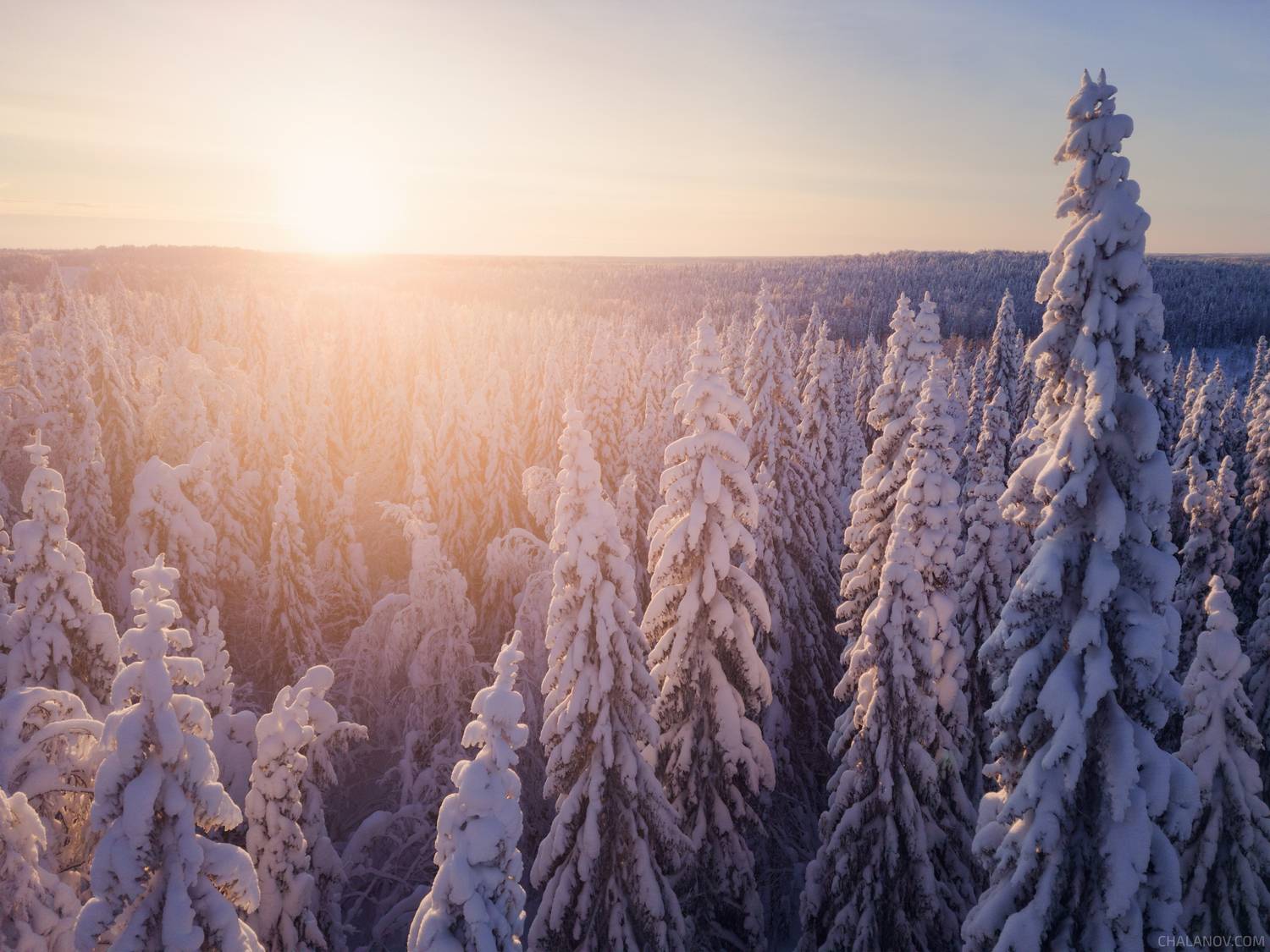 Морозная парма. Автор: Иван Чаланов пейзаж, дрон, зима, закат, мороз, снег, тайга, ели, Иван Чаланов