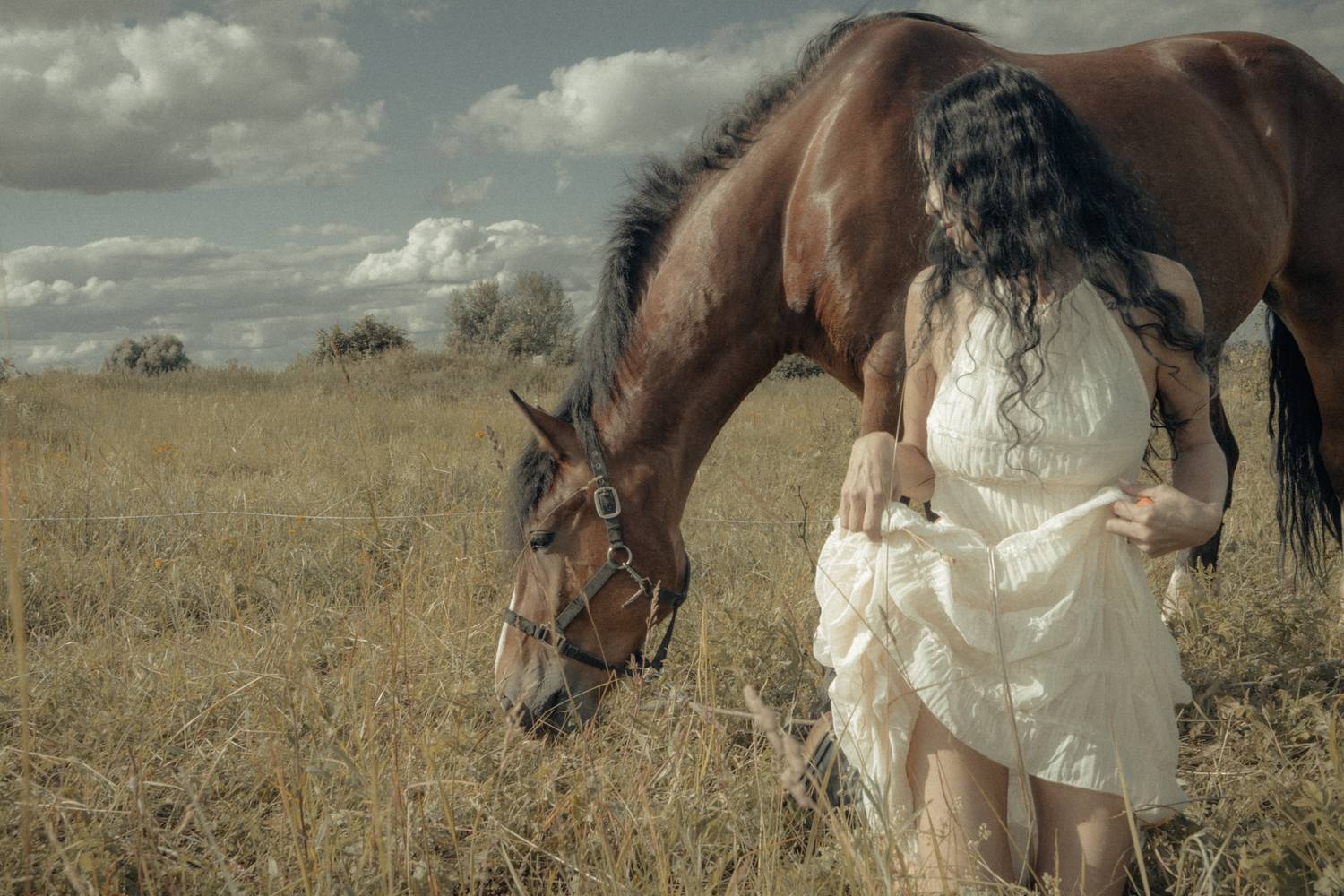 лошадь девушка пейзажный портрет белое платье поле, Елена Леонидовна