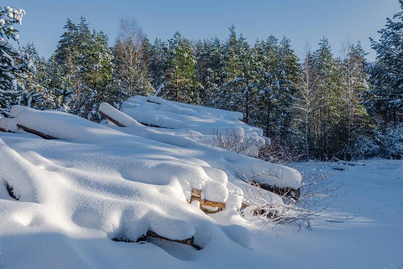 Лесосекаphoto preview