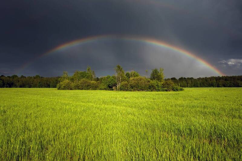 радуга, гроза, дождь, небо, поле, лето, свет Гроза ушлаphoto preview