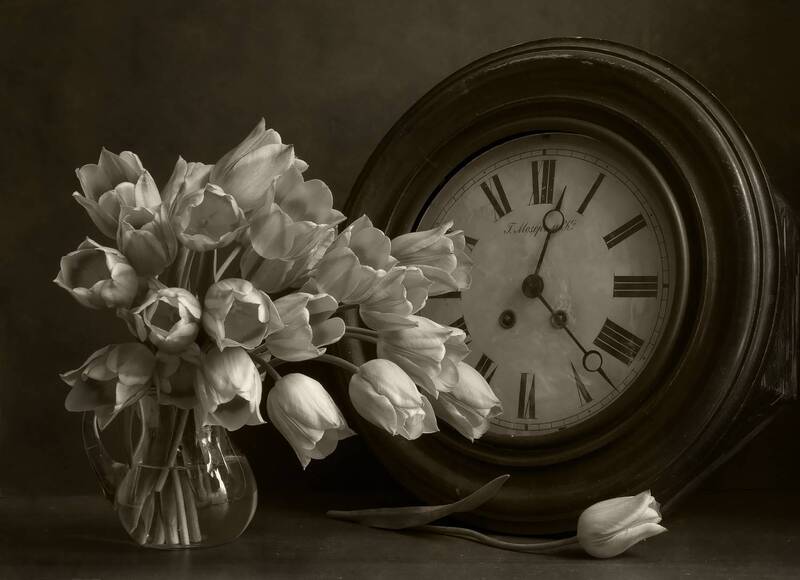 тюльпаны, часы, цветв\\\\\\\\ы, время Время тюльпанов.photo preview