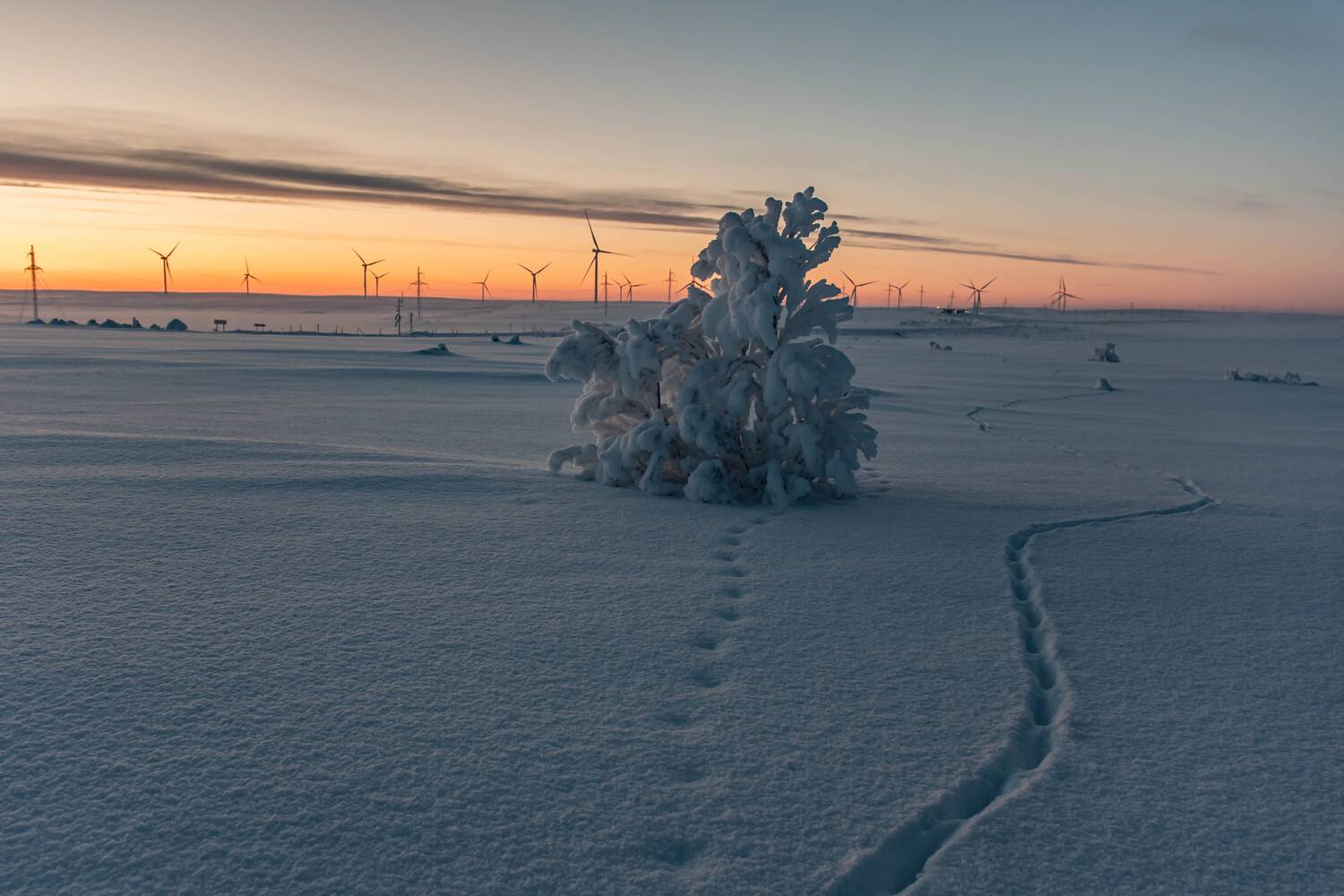 , Сергей Каверин