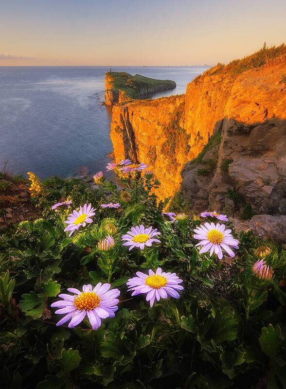 Приморьеphoto preview