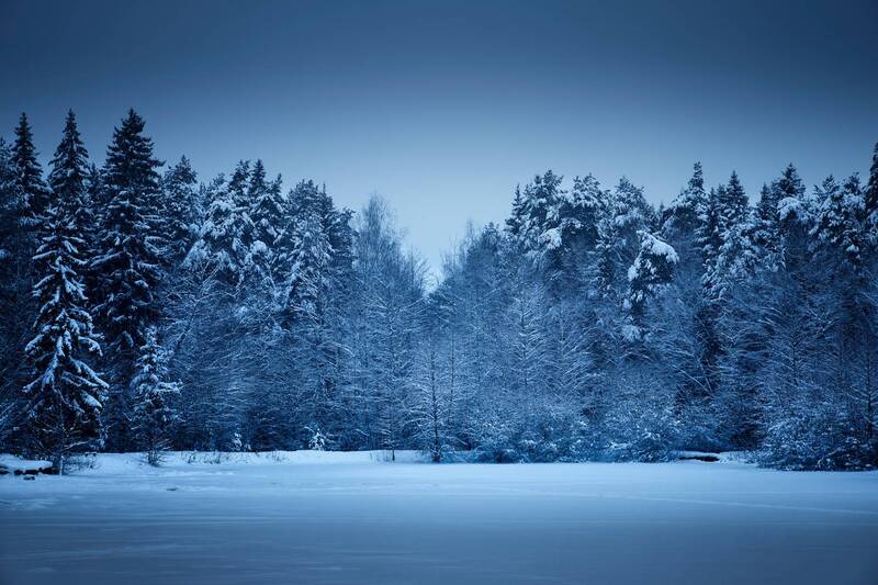 зима, снег У зимнего лесаphoto preview