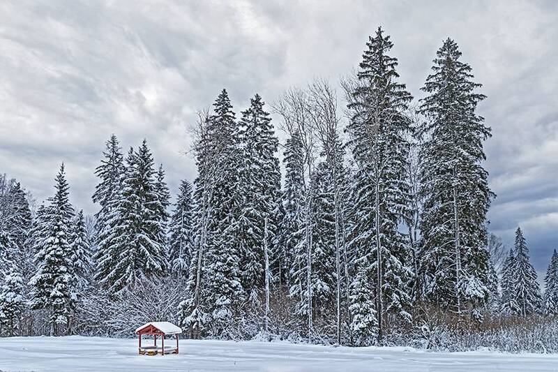 зима январьphoto preview