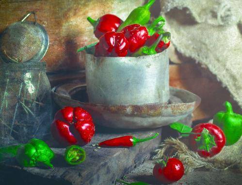 , Багриновская Наталия