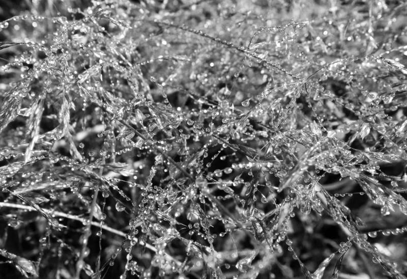 Mis monocromosphoto preview