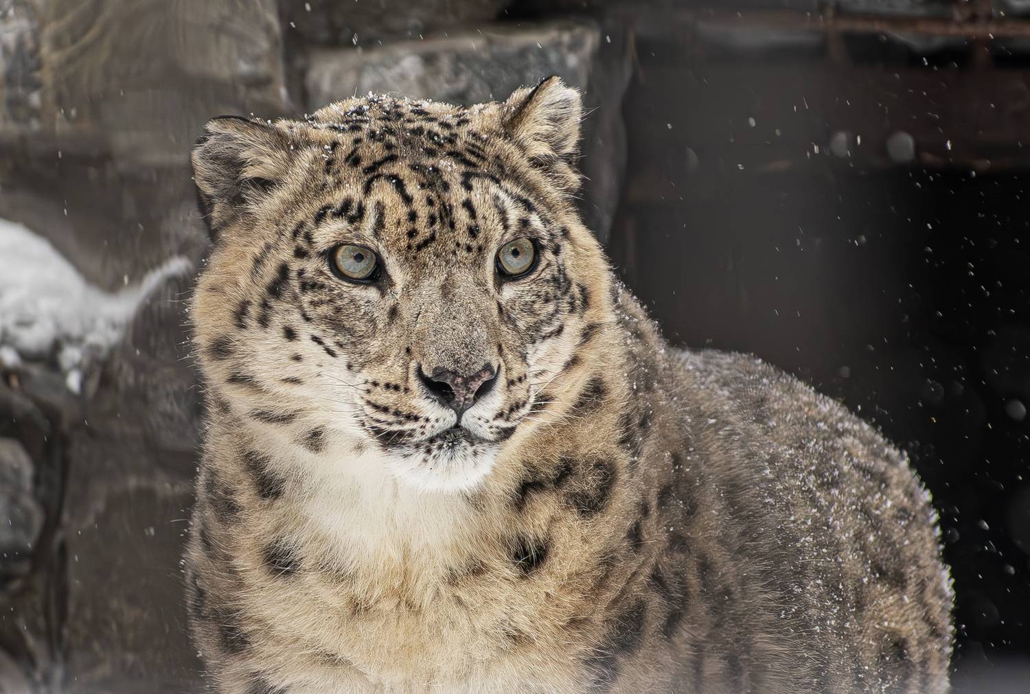 , Михаил Измайлов