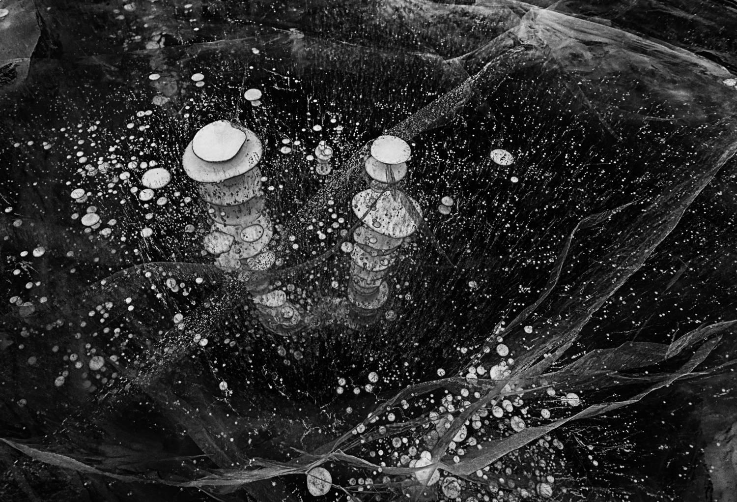 , Павел Мартюшев