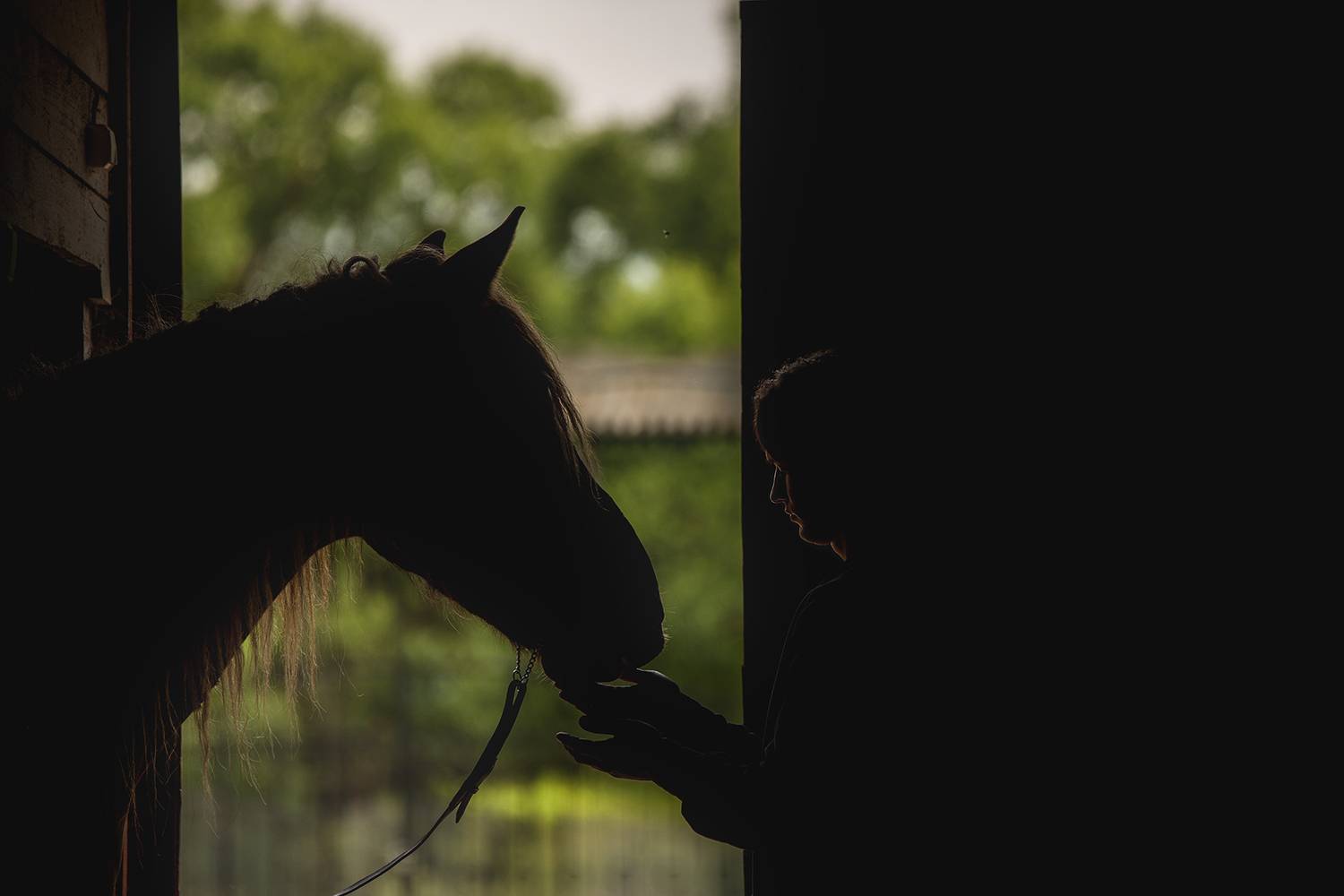 , Елена Самусенкова
