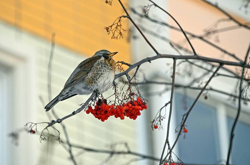 Похолодалоphoto preview