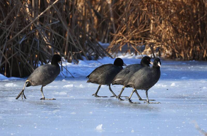 Мы идём туда..photo preview