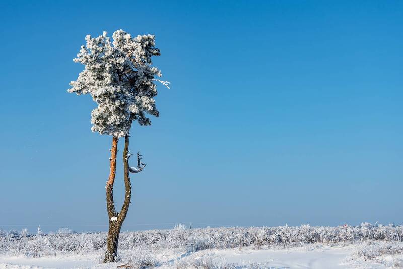 Зимний минимализм фото превью