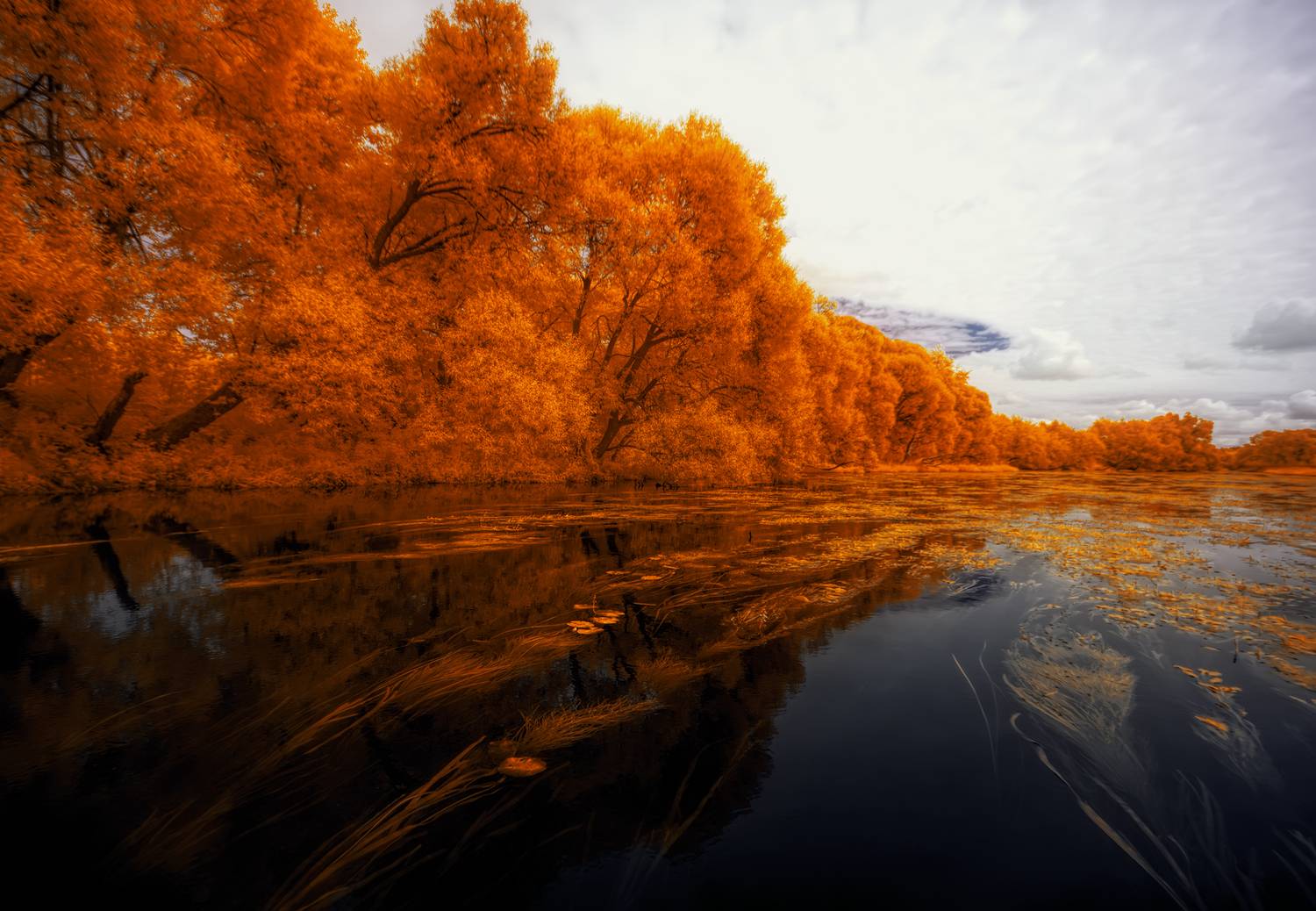Некуда спешить. Автор: Sixten (Сергей) infrared, ик-фото, инфракрасное фото, инфракрасная фотография, пейзаж, лето, Sixten (Сергей)
