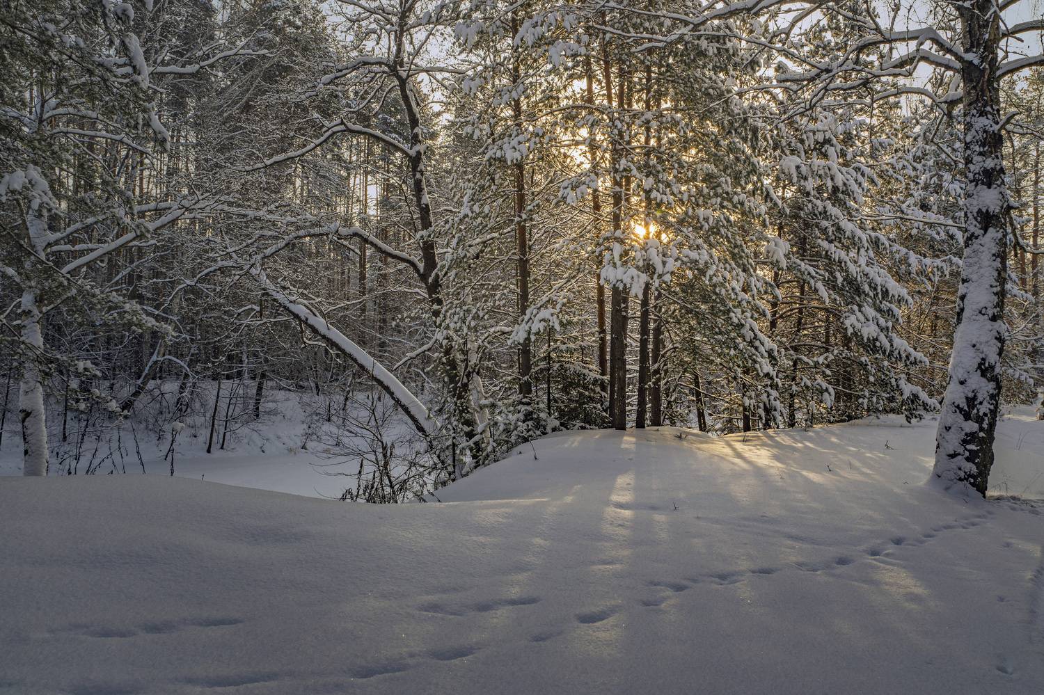 , Шитов Александр