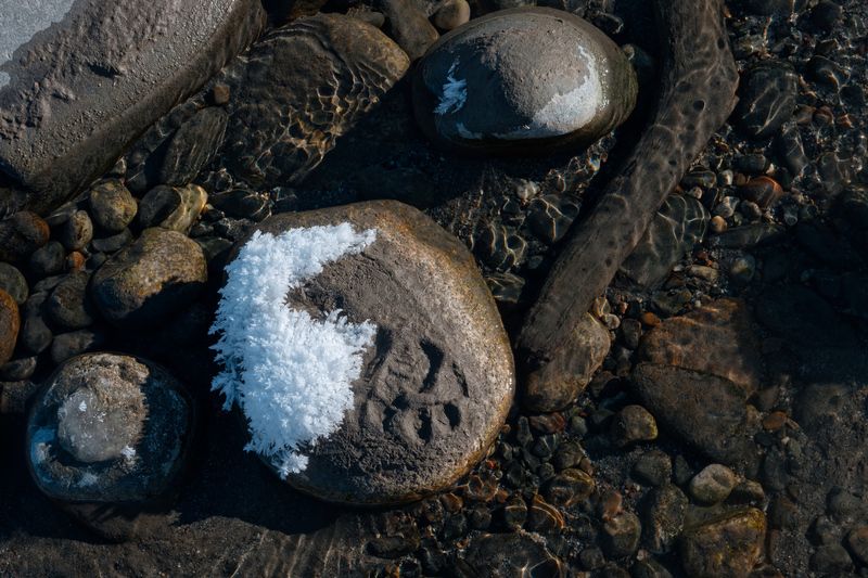 На берегу горной рекиphoto preview