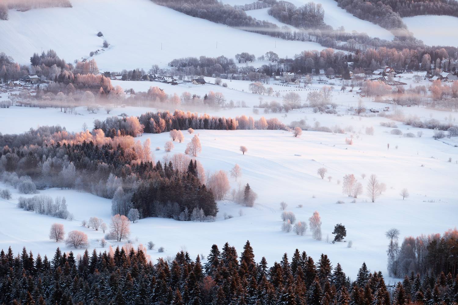 ,  Mirosław Pruchnicki