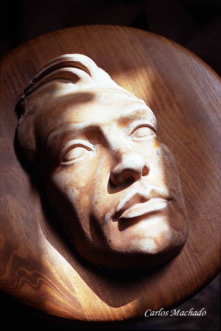 Gazing at the stars. Автор: Machado Carlos Still life, uncatgorized, , Machado Carlos