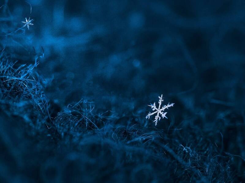 снежинка Снежинка фото превью