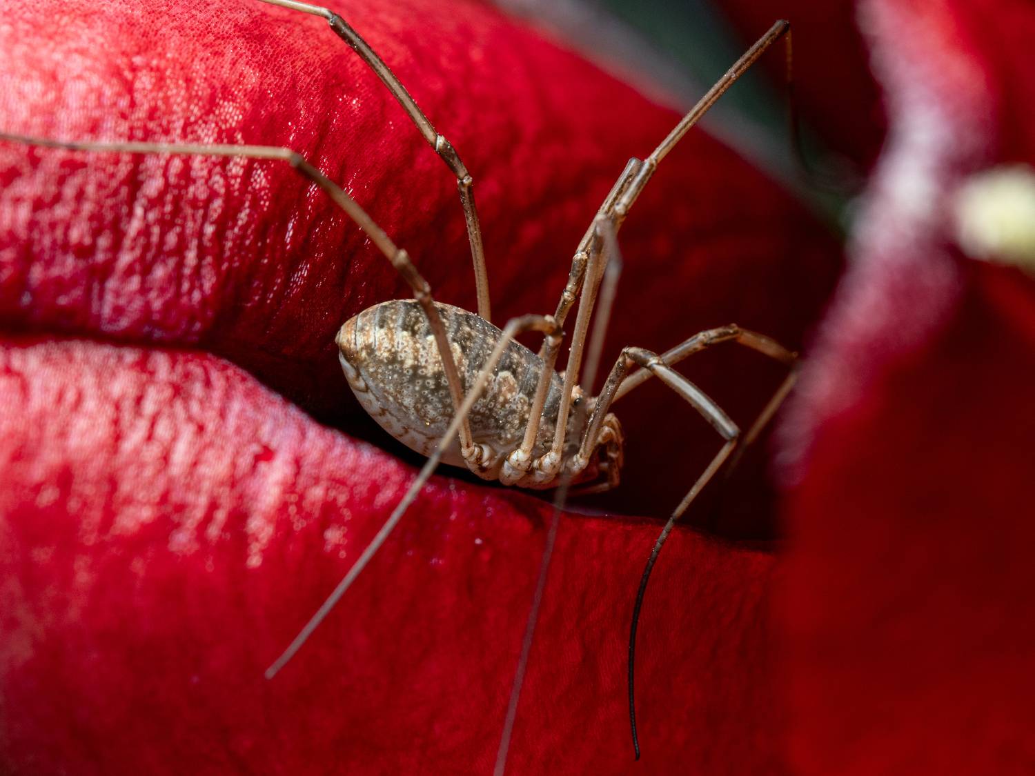 , Миша Усольцев