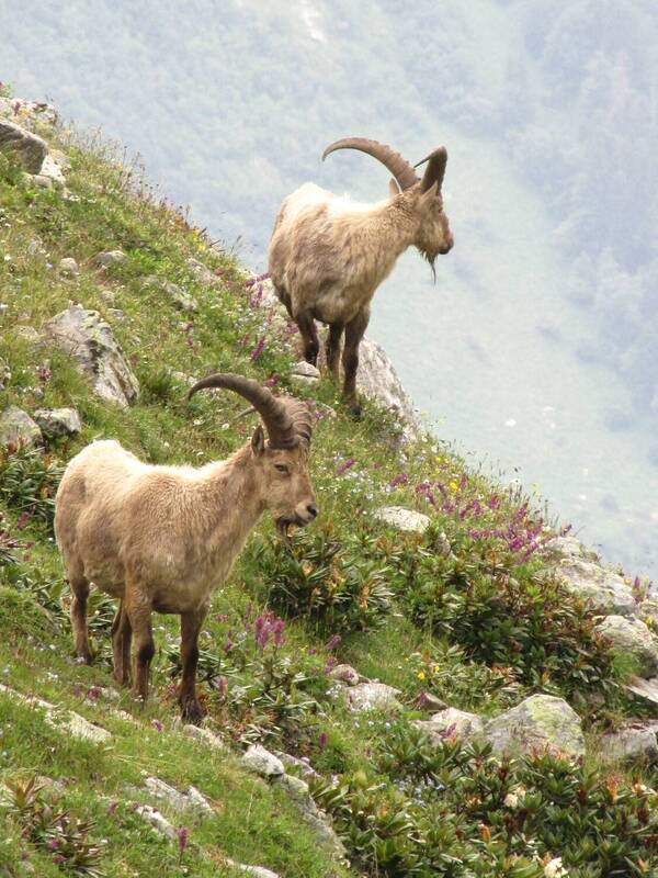 Двое ...photo preview