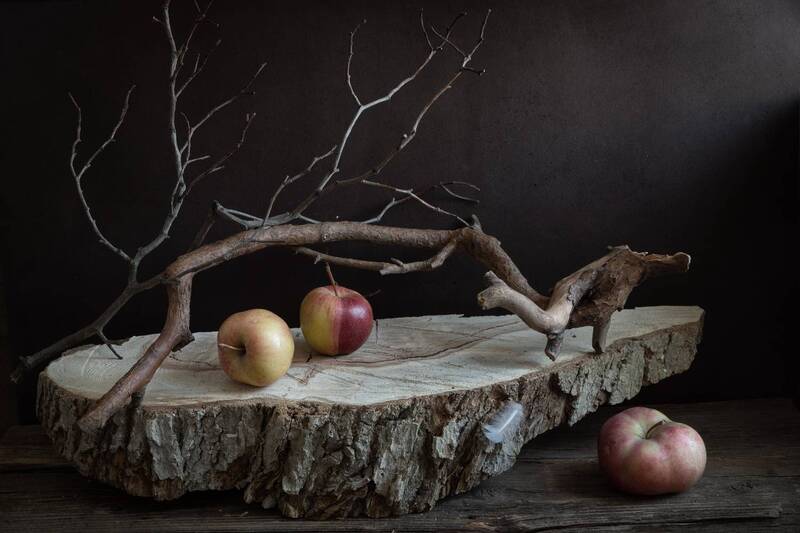 сад, яблоки, ветки, дерево Старый сад.photo preview