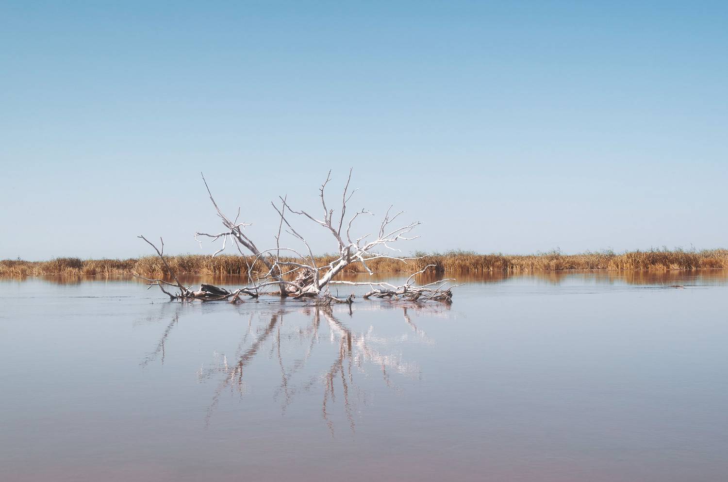 раскаты, волга. россия, , Павел Сторчилов