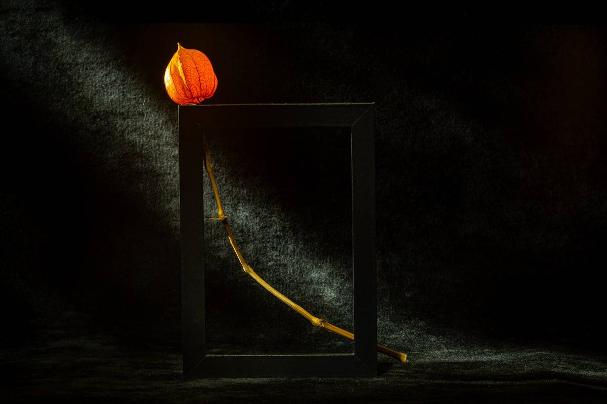 , Игорь Копцев