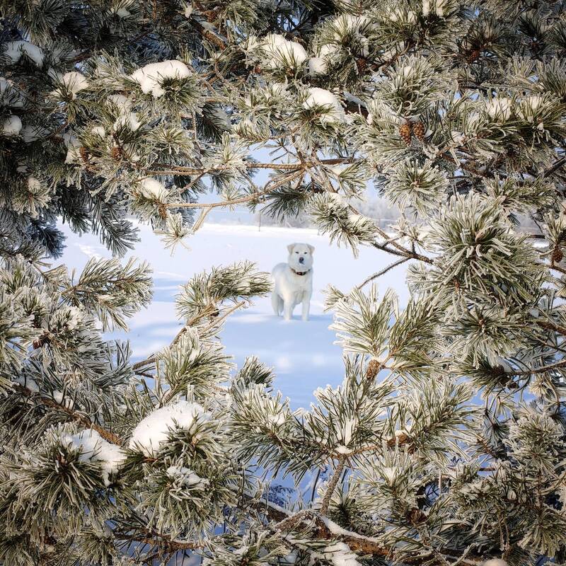 фото превью