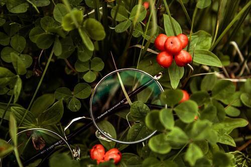 входные ворота