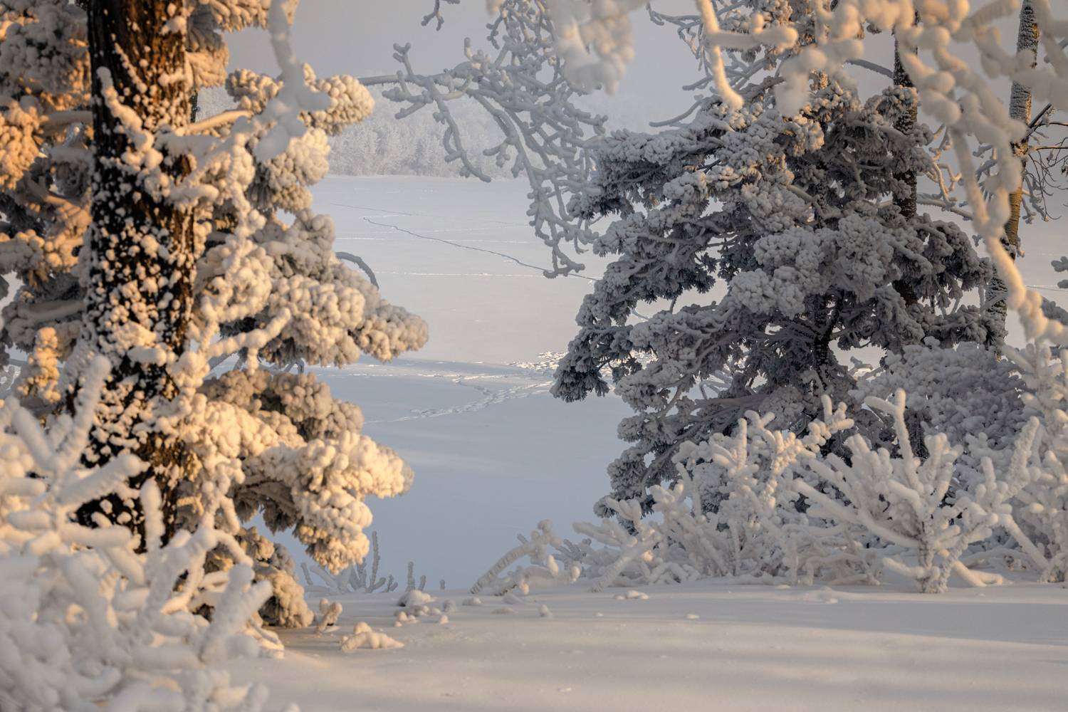 , Иван Гуторин