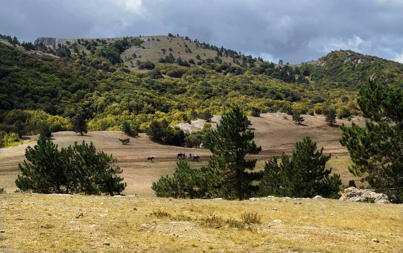 Осень на плато Ай-Петри.photo preview