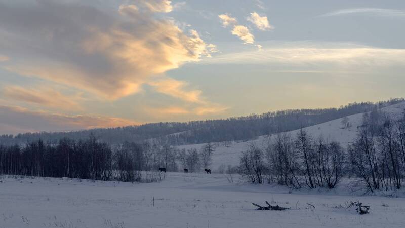 свобода символа года фото превью