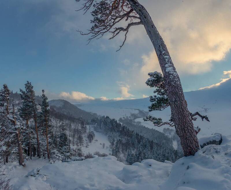 *** фото превью