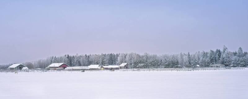 Подворье фото превью