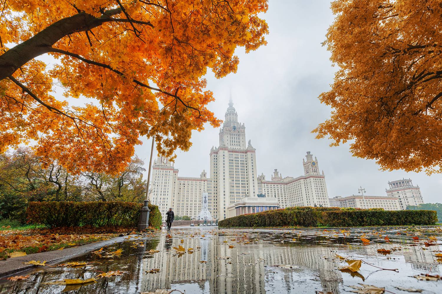 МГУ, Москва, осень, город, Кочкин Владимир