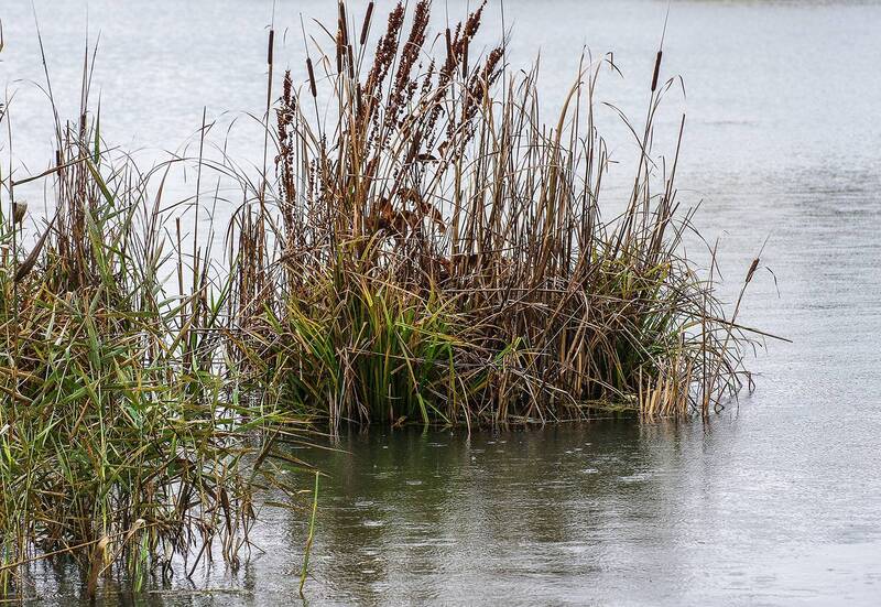 Осень фото превью