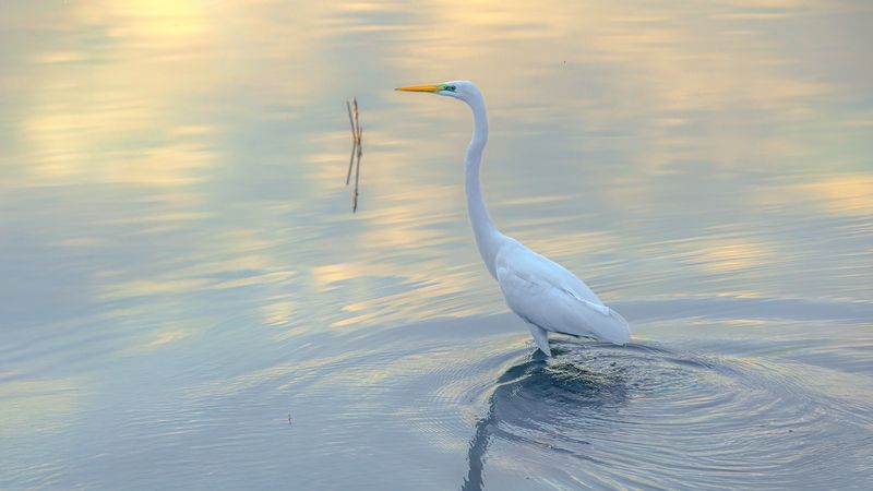 Тишина фото превью