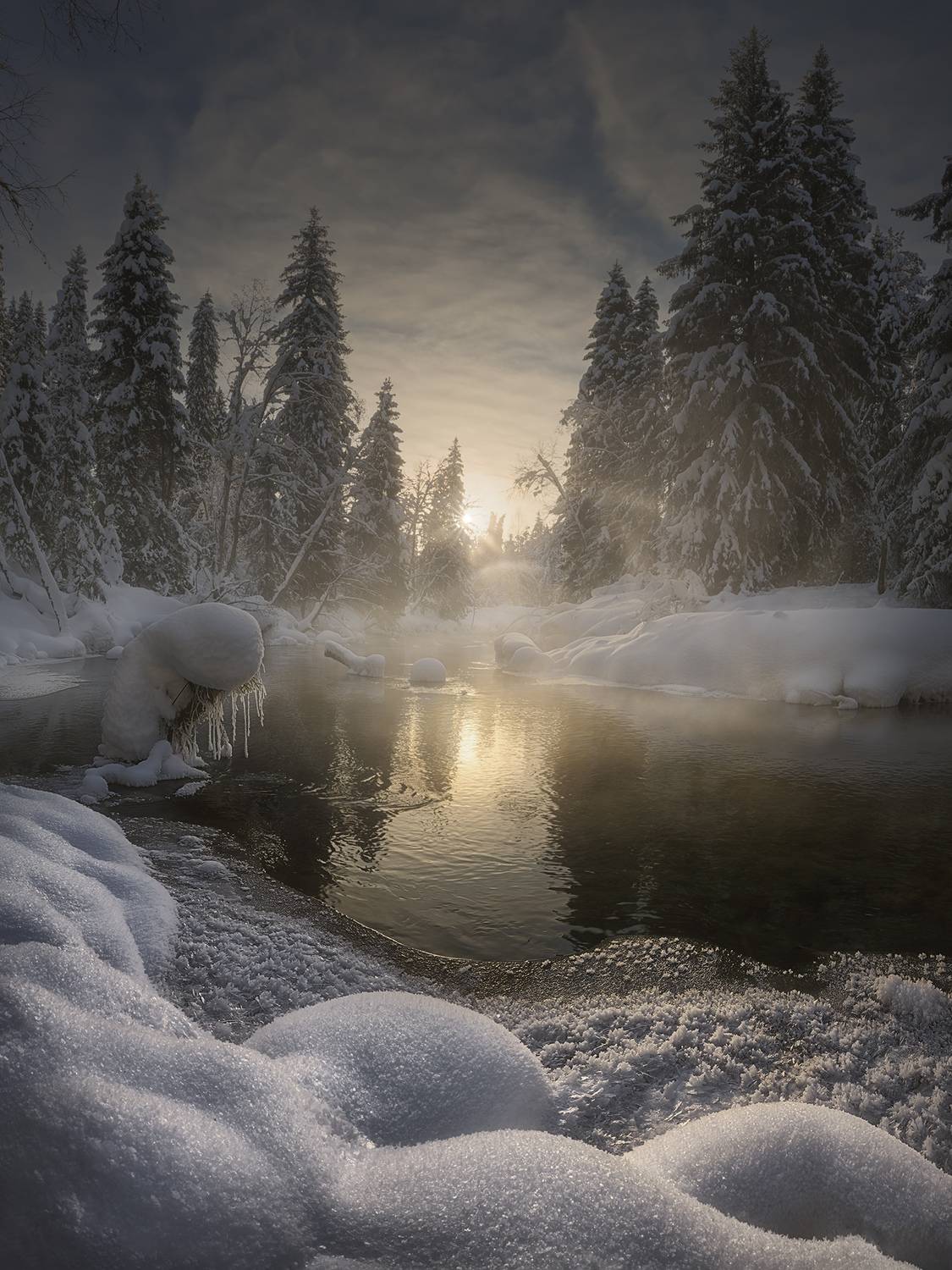 На снежных берегах. Автор: Dmitry Medyancev , Dmitry Medyancev