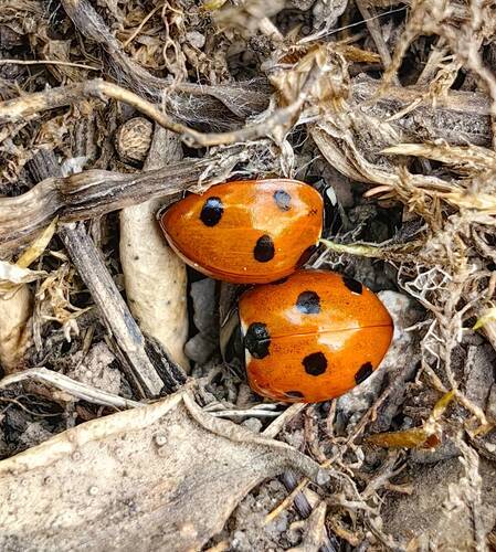 Something from my sole to yours!