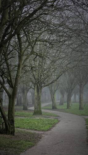 Уличная фотография