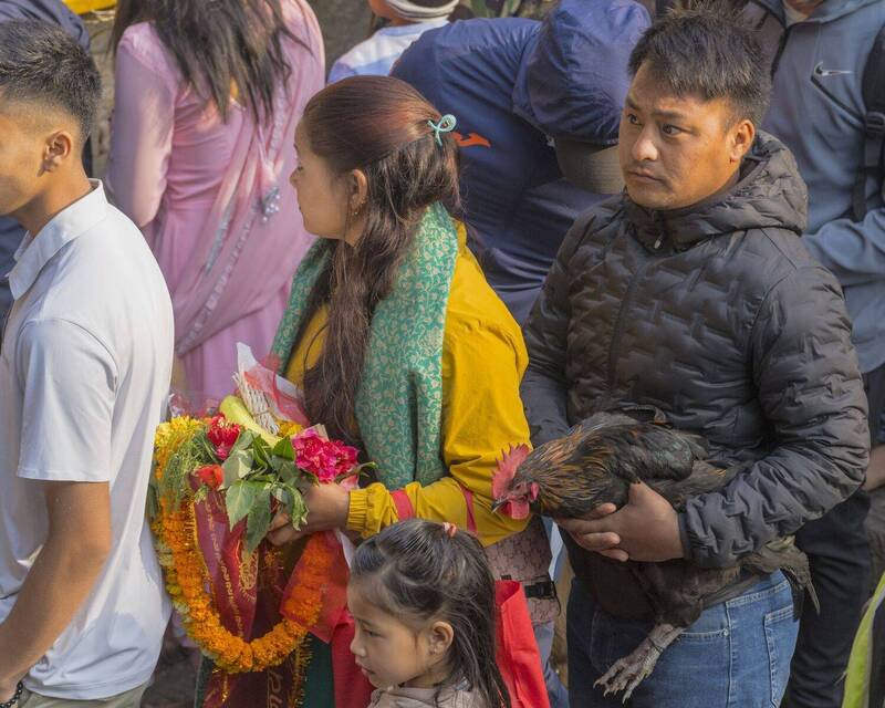 Жертвоприношение (18+) фото превью