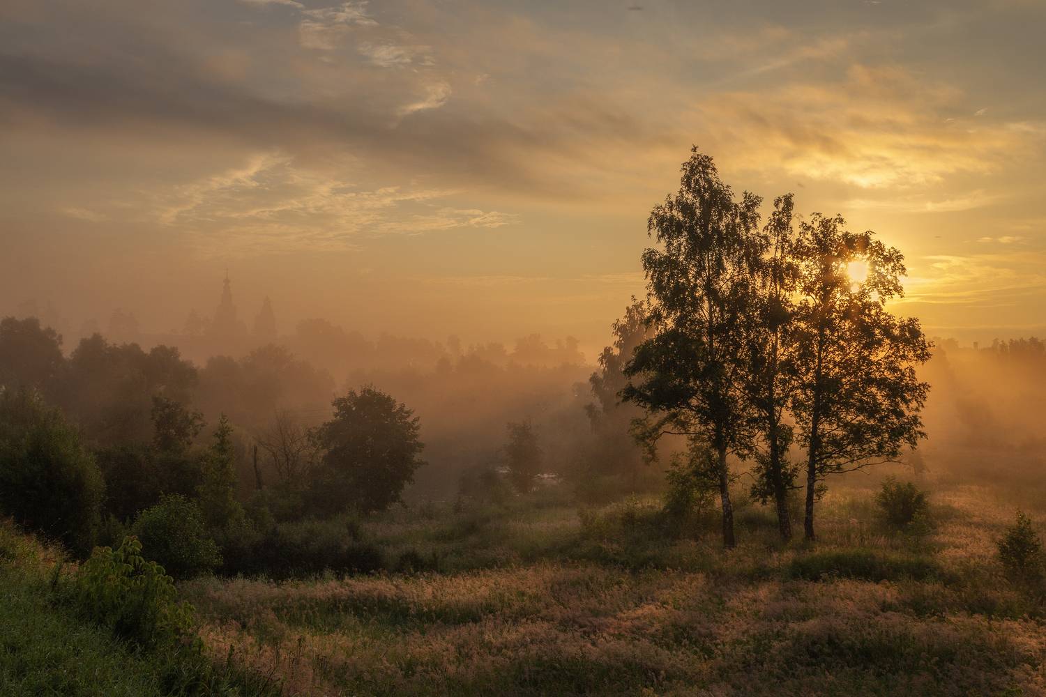 Истра, Гусева Елена