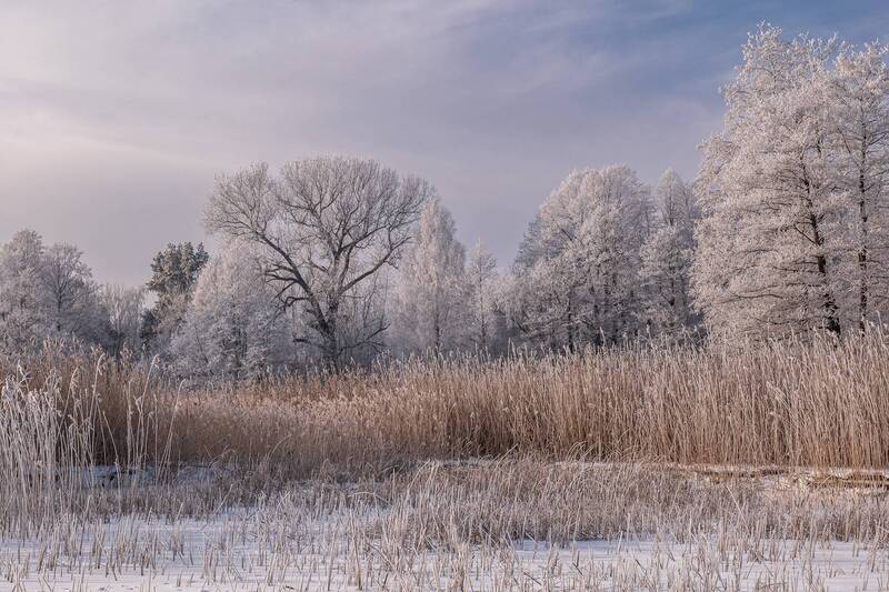 Январь.Мороз фото превью