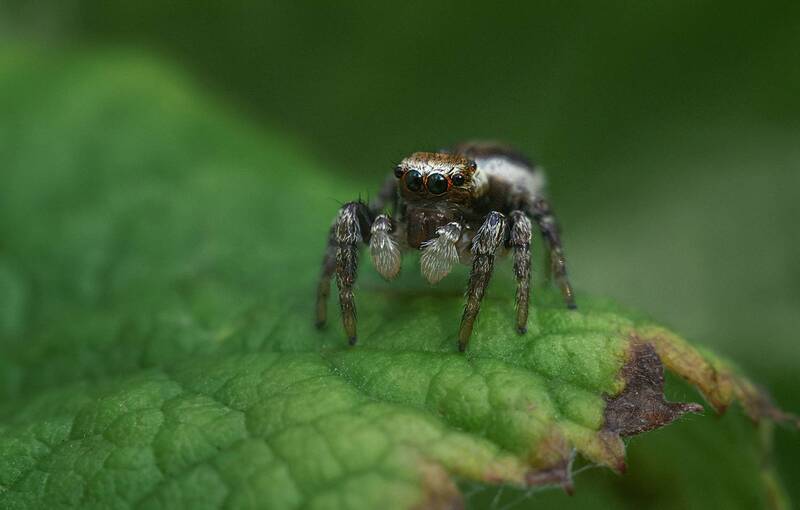 ... фото превью