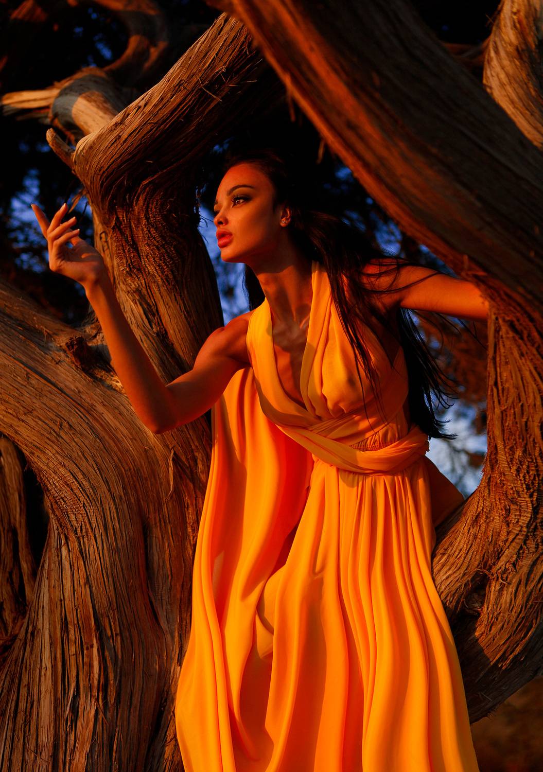 , Алексей Подоба