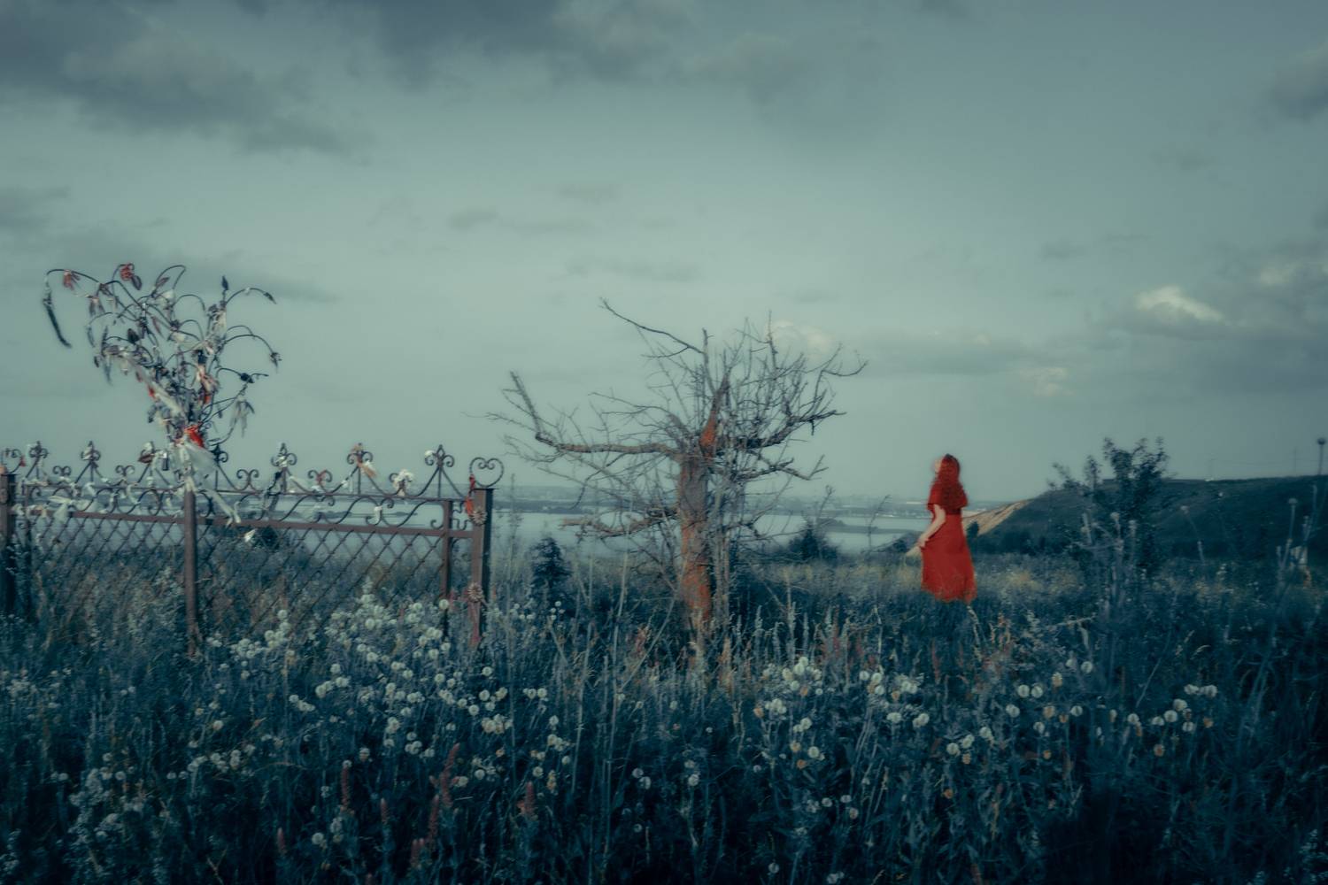 пейзажный портрет приключение сказка живопись, Елена Леонидовна